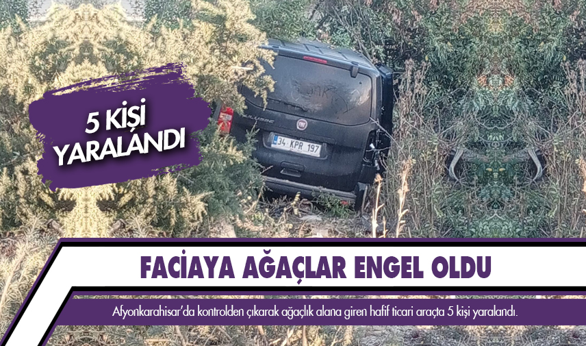 Ağaçlık alana giren hafif ticari araçta 5 kişi yaralandı